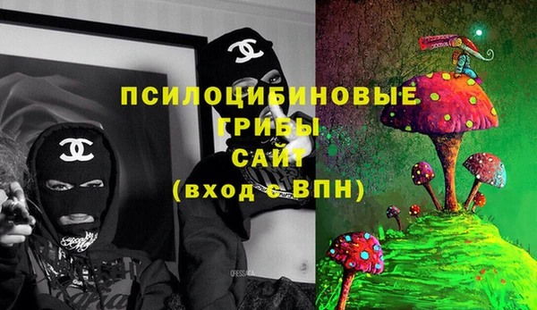 ECSTASY Алексин