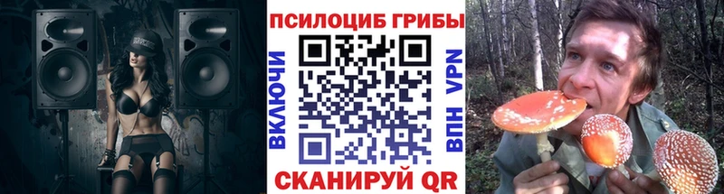 Галлюциногенные грибы ЛСД  Купить закладки  Петровск-Забайкальский 